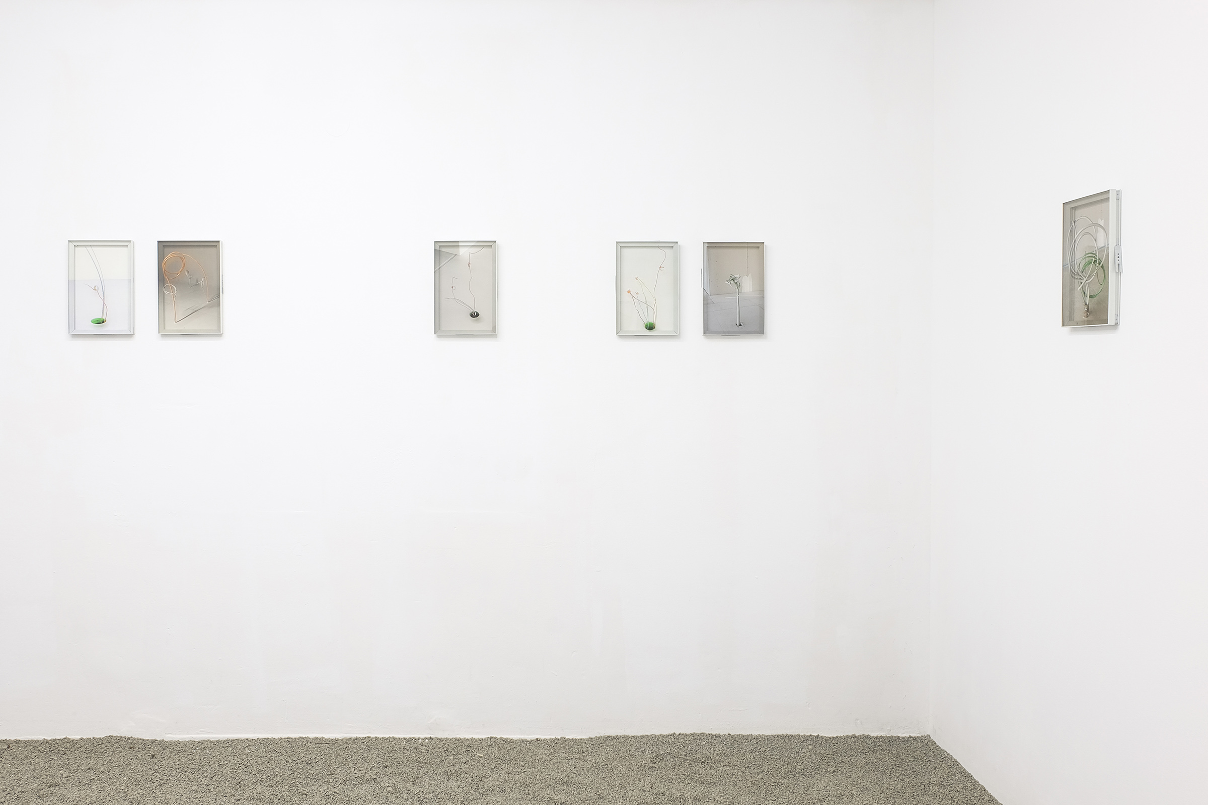 zqm Jane Garbert ANABEKI Exhibition View