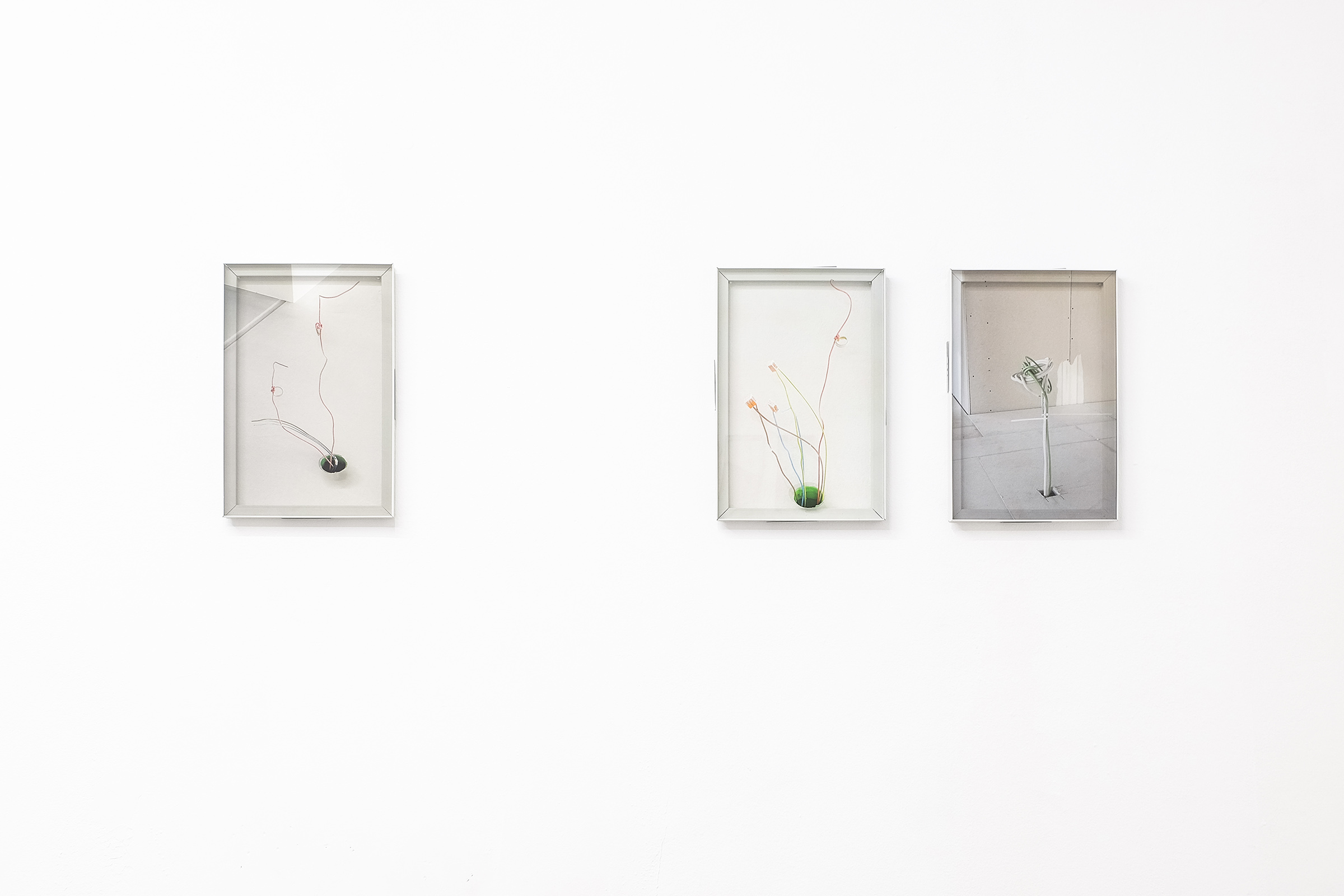 zqm Jane Garbert ANABEKI Exhibition View