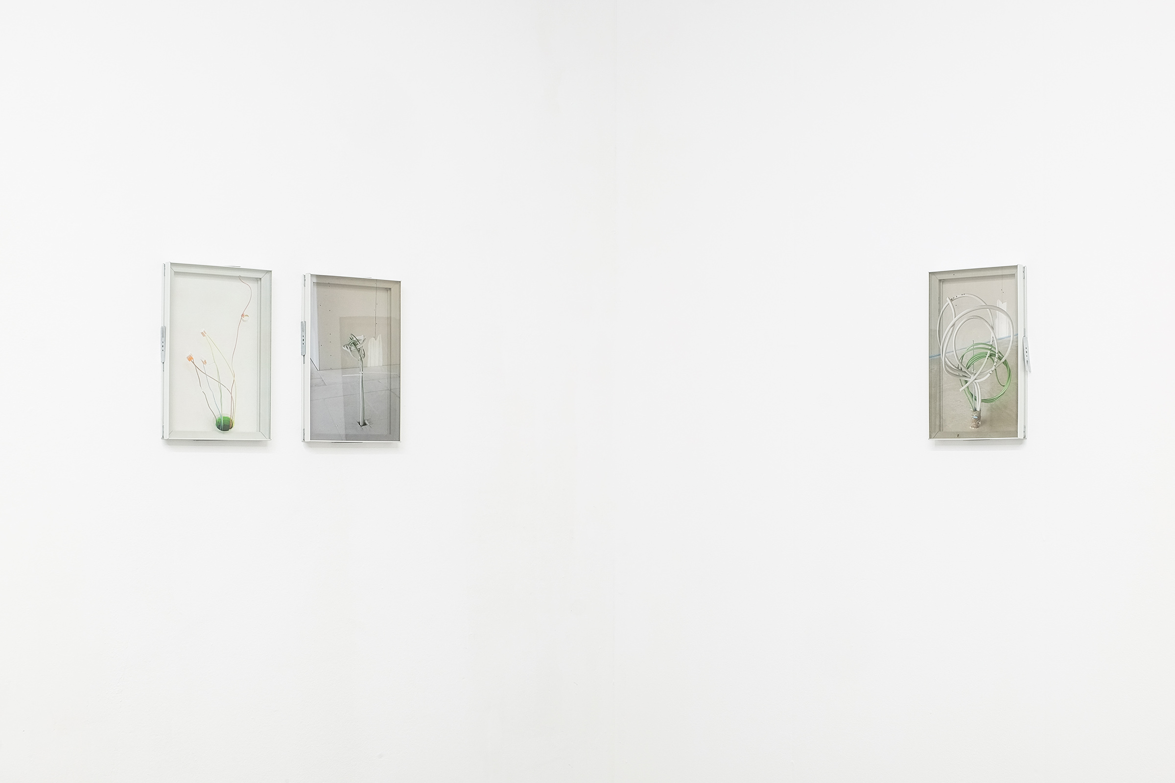 zqm Jane Garbert ANABEKI Exhibition View
