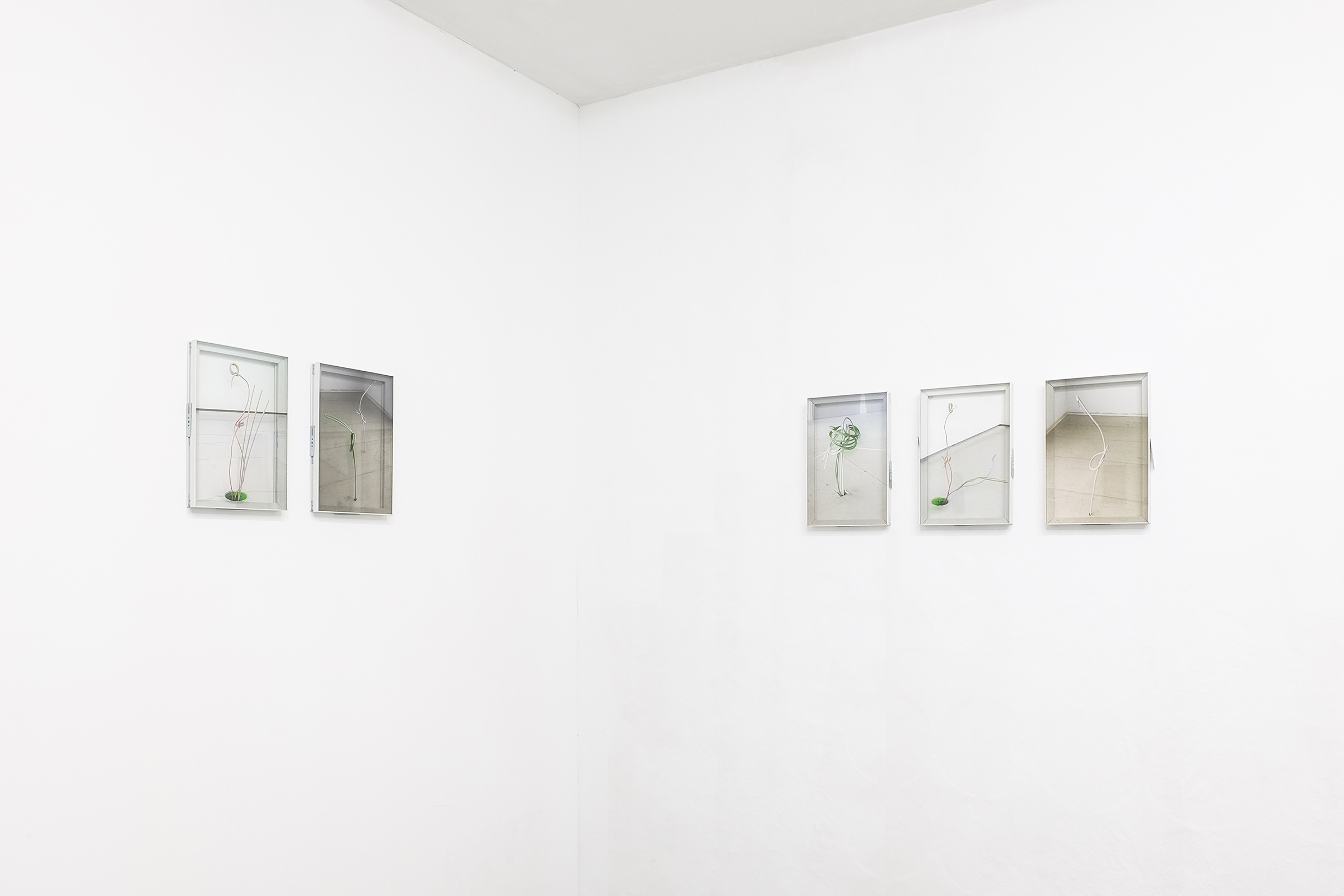 zqm Jane Garbert ANABEKI Exhibition View